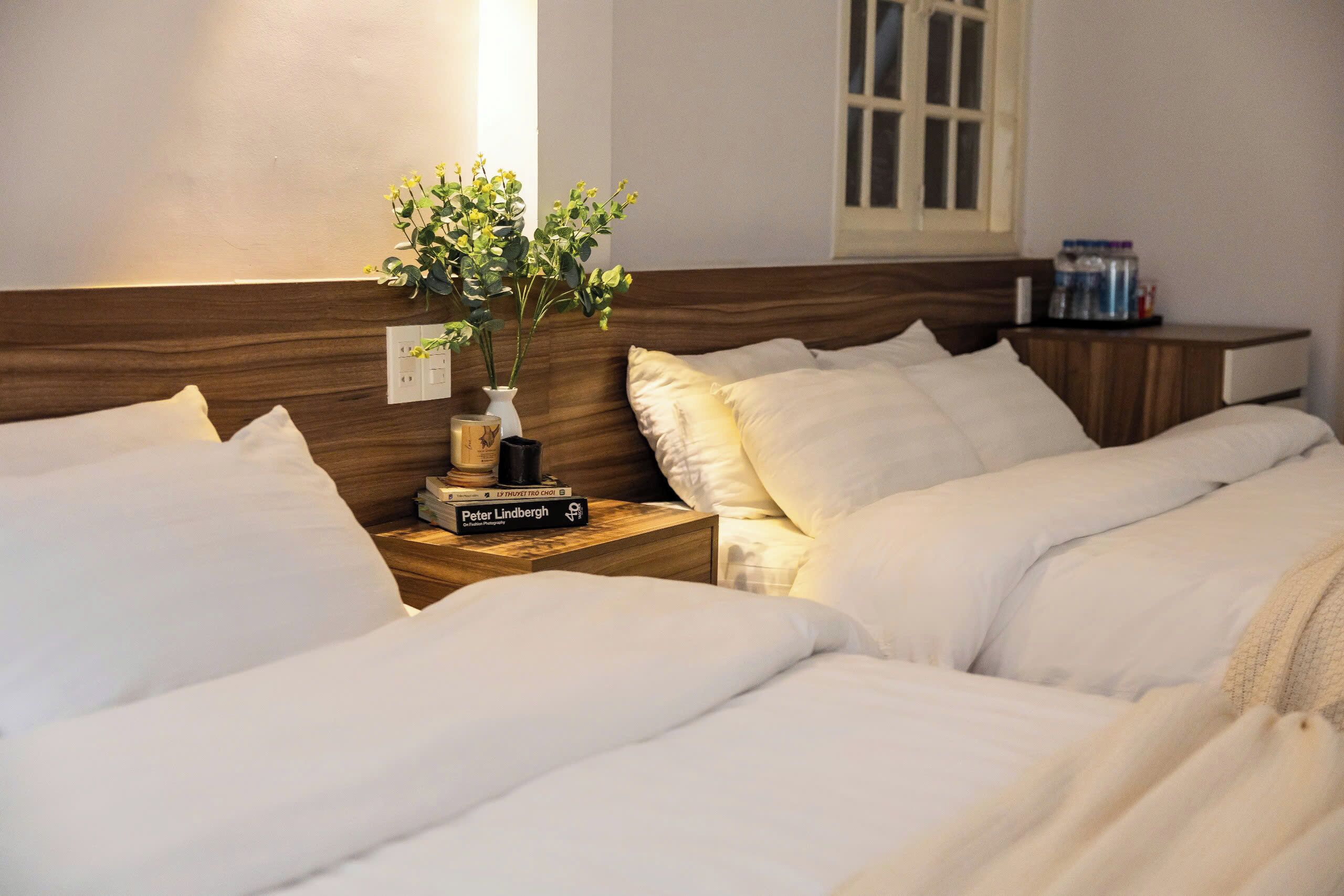 Una habitación de hotel con dos camas, una mesita de noche con una planta y libros, una ventana y una lámpara en la pared.