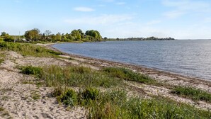 Une plage avec un rivage sablonneux, des zones herbeuses et une étendue d’eau calme.