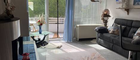 TV, table tennis, stereo