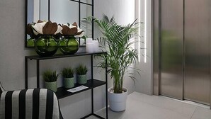 Un interior moderno con un sofá, una consola con plantas en macetas, un espejo grande y un ascensor.