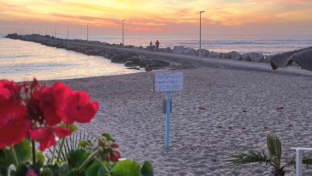 Une plage au coucher du soleil, un panneau avec du texte et un banc agrémenté d’un pot de fleurs.