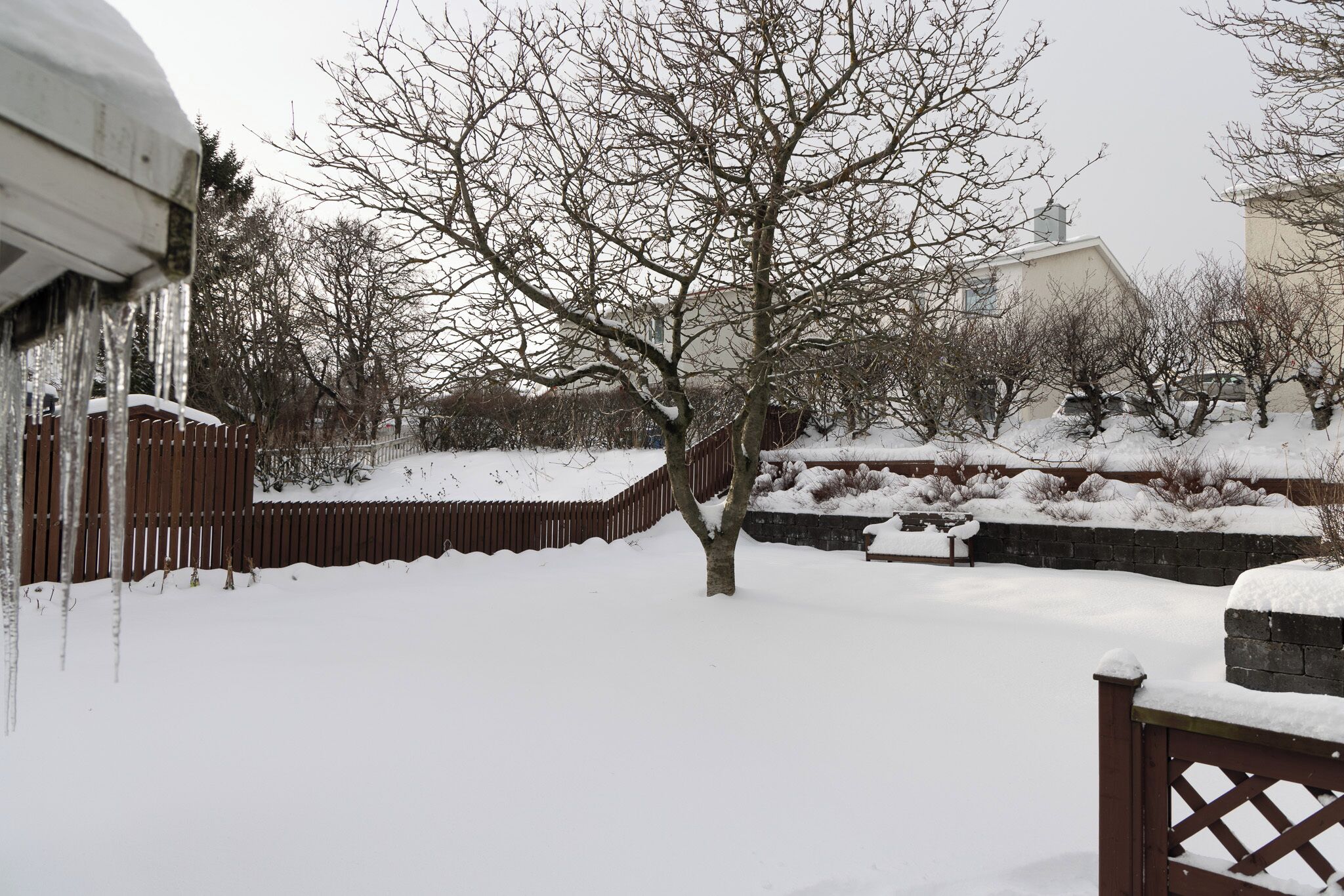 Photo - Summerday Guesthouse