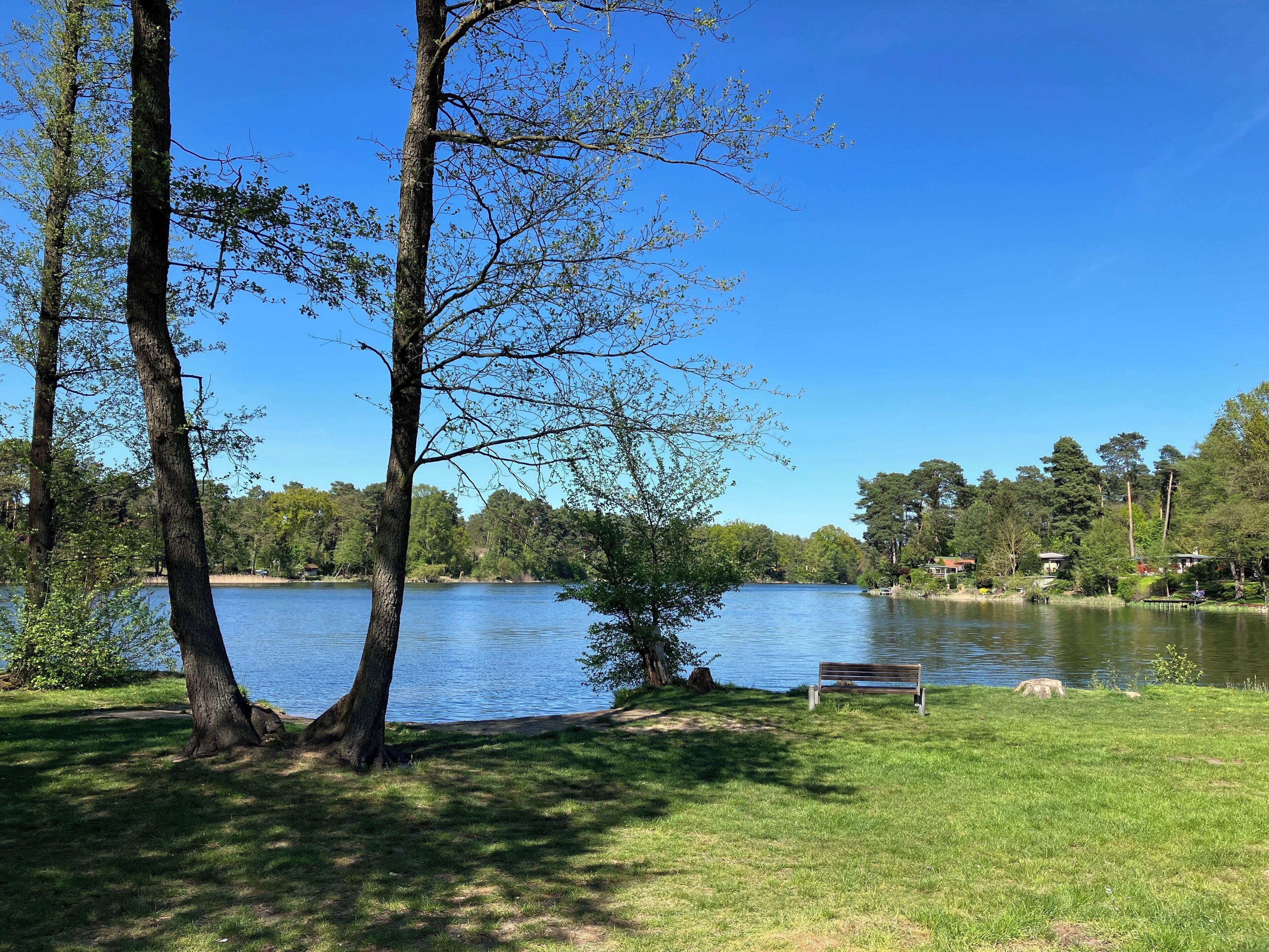 A lakeside park with a bench and trees.