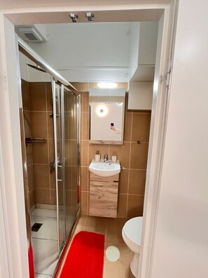 Hårtork, handdukar, tvål och toalettpapper