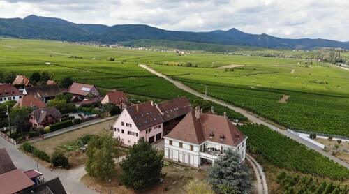 Gîtes Au Domaine Greiner