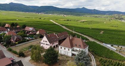 Gîtes Au Domaine Greiner