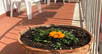 SUNSET COLOSSEO BED & BREAKFAST