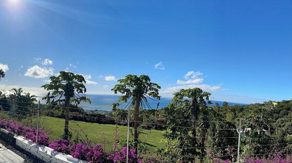 A lush green landscape with a clear view of the ocean and distant mountains.