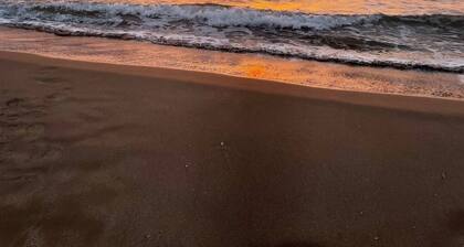 Apartment Paradis Gruissan