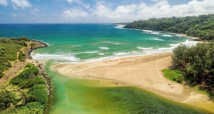 Private estate on 12 lush acres, ocean views, path to beach, main house plus two guest cottages!