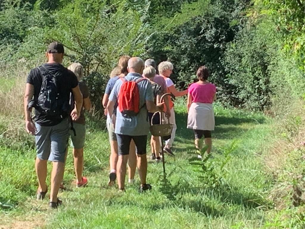 Eine Gruppe von Menschen geht auf einem grasbewachsen Pfad, umgeben von viel Grün.