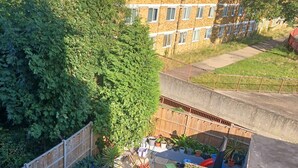 Dortoir Partagé, 1 chambre, balcon | Jardin