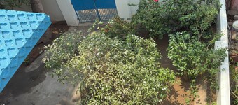 2BHK Homestay @ Gundicha Temple Best 4 Ratha Yatra