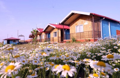 Chakrata Pacific Resort & Spa 