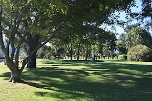 Property grounds