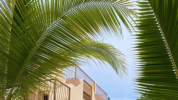A modern hotel with multiple balconies, a central pathway, and lush tropical plants.