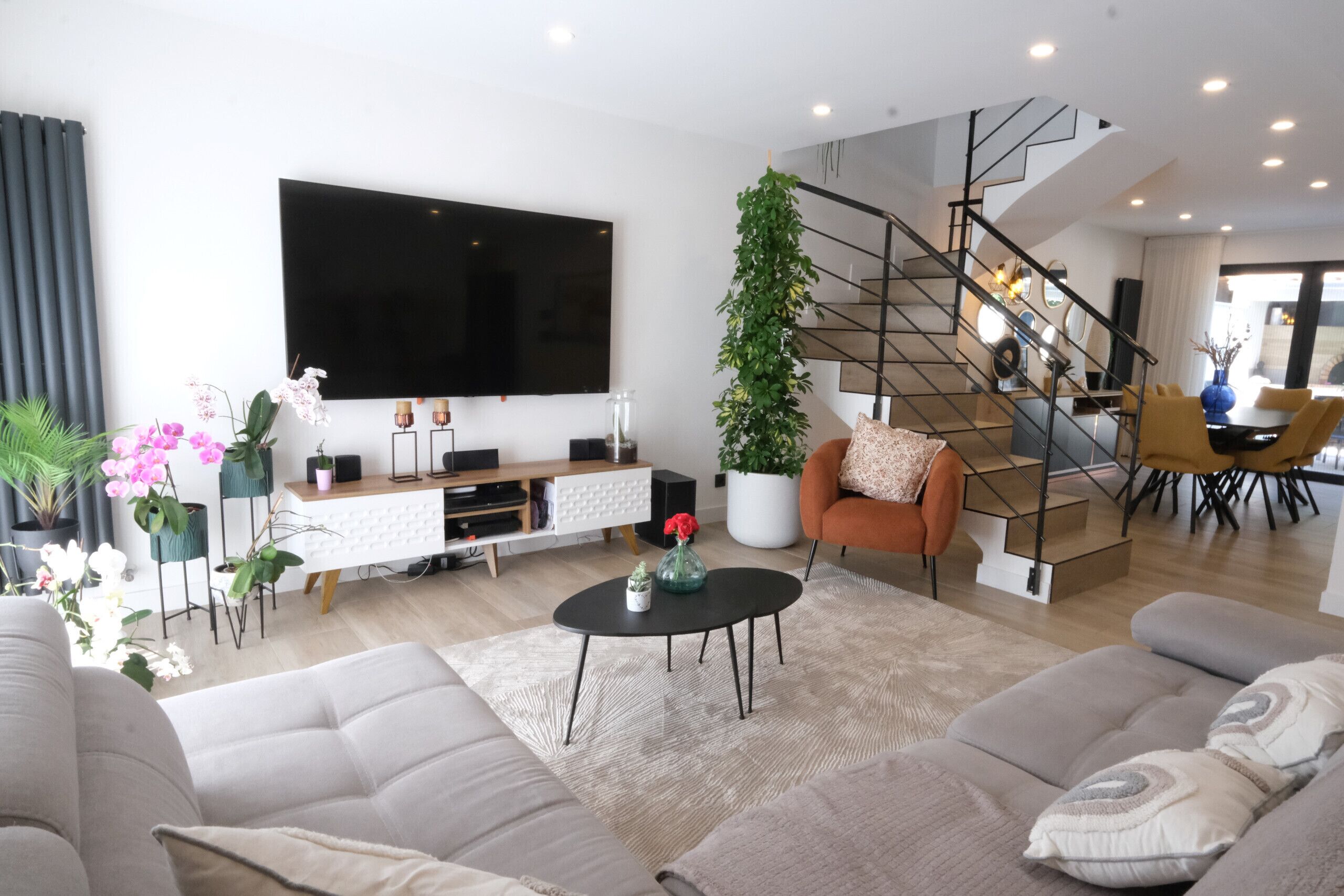 TV