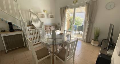 LS1-295 MARINADO MouriĂšs.