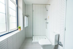 Secador de pelo, toallas y papel higiénico