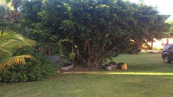 Apartment, 1 Bedroom, Smoking, Garden View | Property grounds