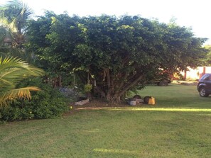 Apartment, 1 Bedroom, Smoking, Garden View | Property grounds