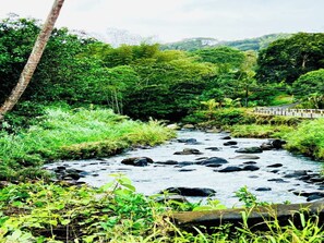 Habitación, 1 habitación, fumadores, balcón | Miscelánea