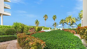 A well-maintained garden with a stone pathway, palm trees, and a pool area.