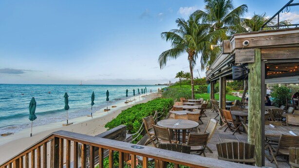 A beachfront restaurant with outdoor seating, palm trees, and a view of the ocean.