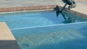 En swimmingpool med klart vatten, en hoppställning och en stenskulptur.