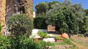 Un jardín con muro de piedra, plantas en macetas y un sendero que lleva a un edificio.