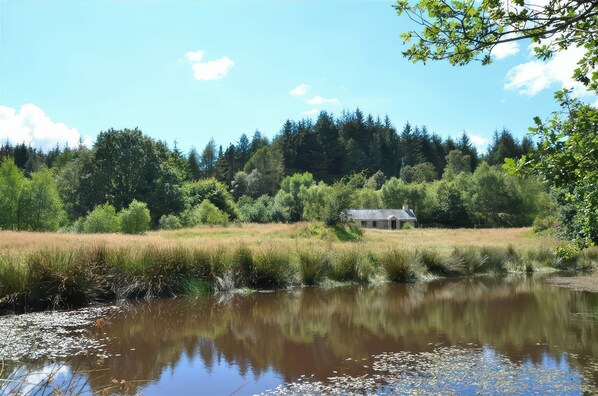 Property grounds - Cae'n Y Coed Barn (Talsarnau)