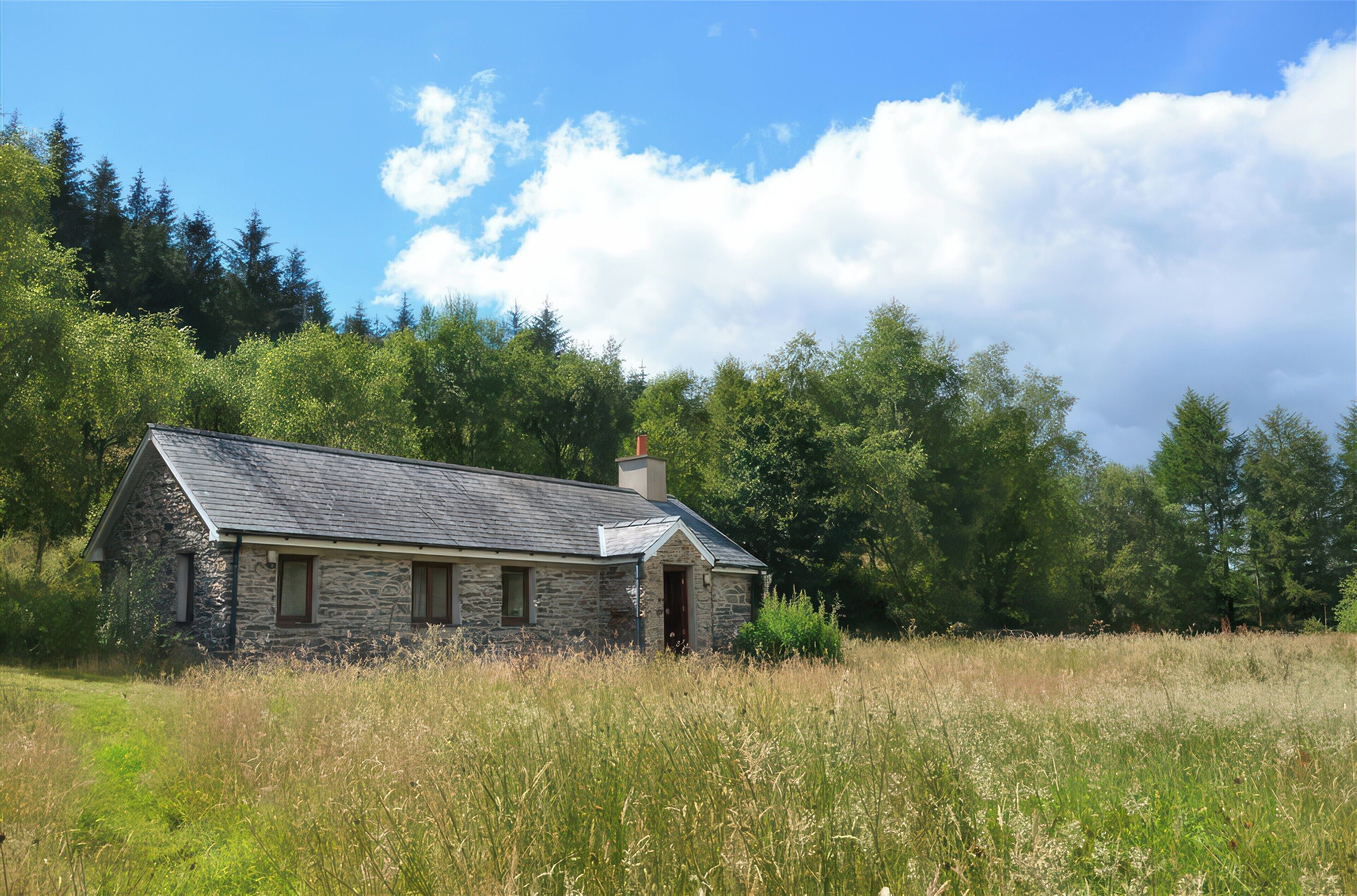 A stone cottage with a sloped roof, surrounded by tall grass and dense trees.