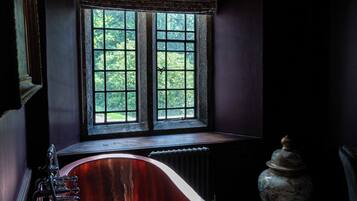 Luxury Room | View from room