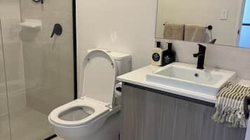 Hair dryer, towels, toilet paper