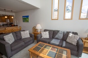 TV connectée, cheminée, livres