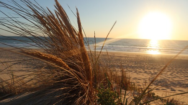 Sun-loungers - Tiny House Boho Océan - An inspiring retreat 10 minutes from the beach (Naujac-sur-Mer)