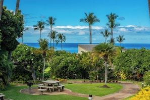 Enjoy ocean views and peaceful surroundings in this serene outdoor space with lawn, picnic tables, and lush greenery.