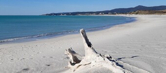 Verde Mare apartment with sea view surrounded by ancient olive trees animals allowed
