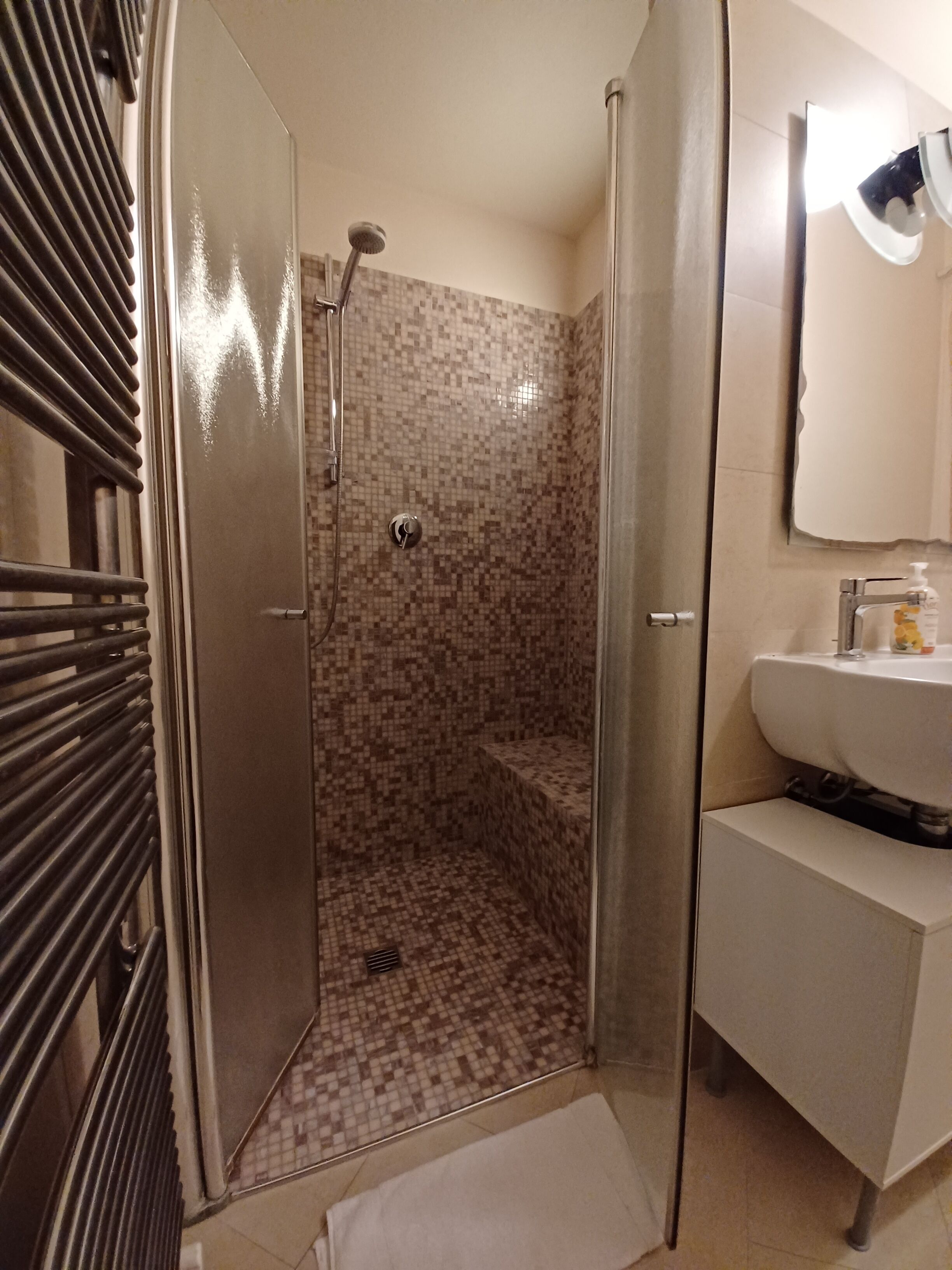 Hair dryer, bidet, towels, soap