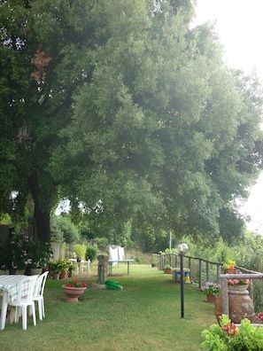 Jardin