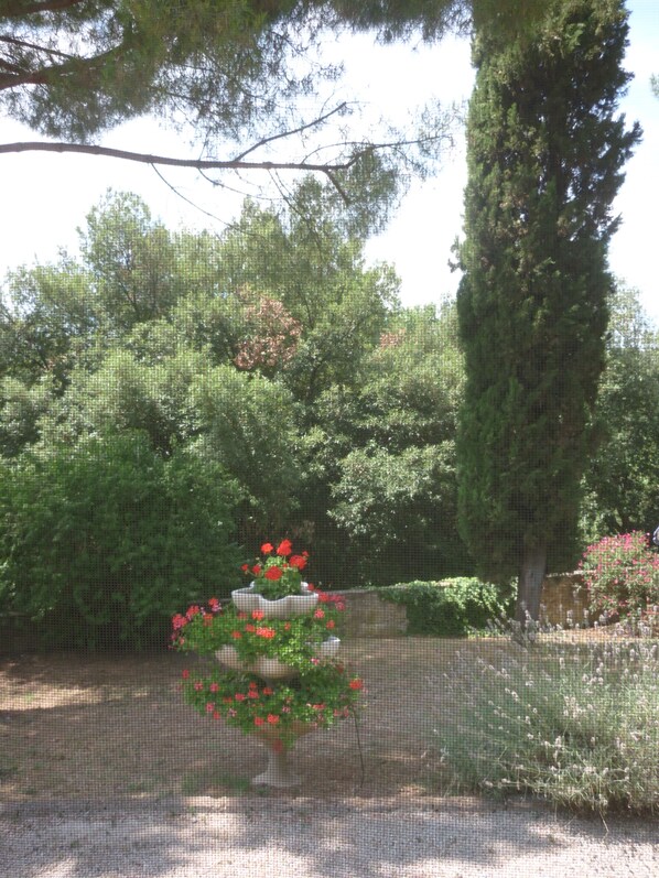 Taman