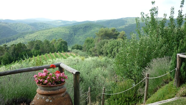 Une clôture en bois rustique avec un pot de fleurs contenant des fleurs roses.