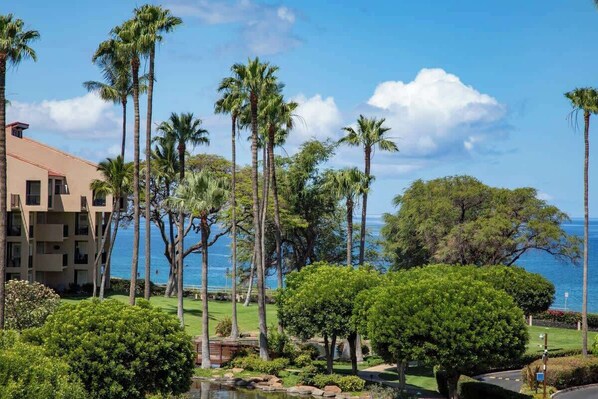 Property grounds - Kamaole Sands Kihei: Near Beach, King Bed, Parking (Kihei)