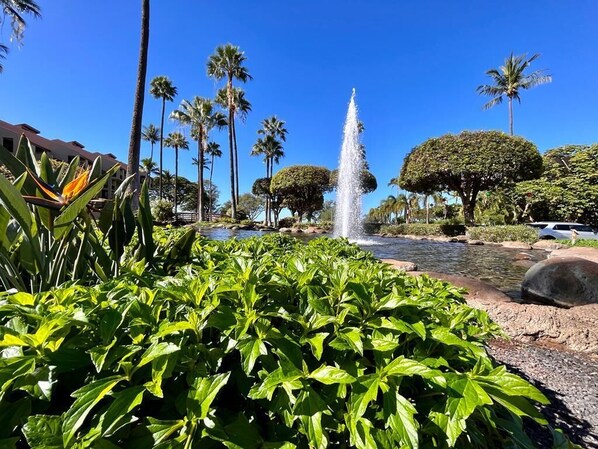 Une fontaine, des palmiers et une végétation bien entretenue.