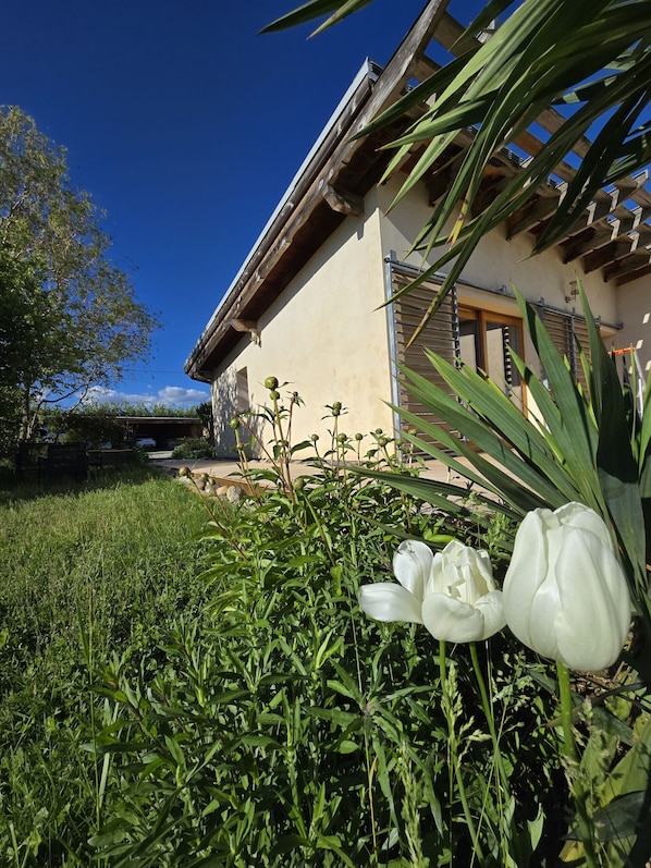 A house with a garden, a clear blue sky, and a white flower in the foreground. - Les syrphes (La Brillanne)