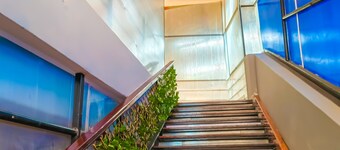 Jacaranda Luxury Suites