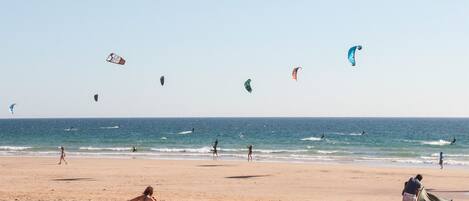 Sun-loungers, beach towels