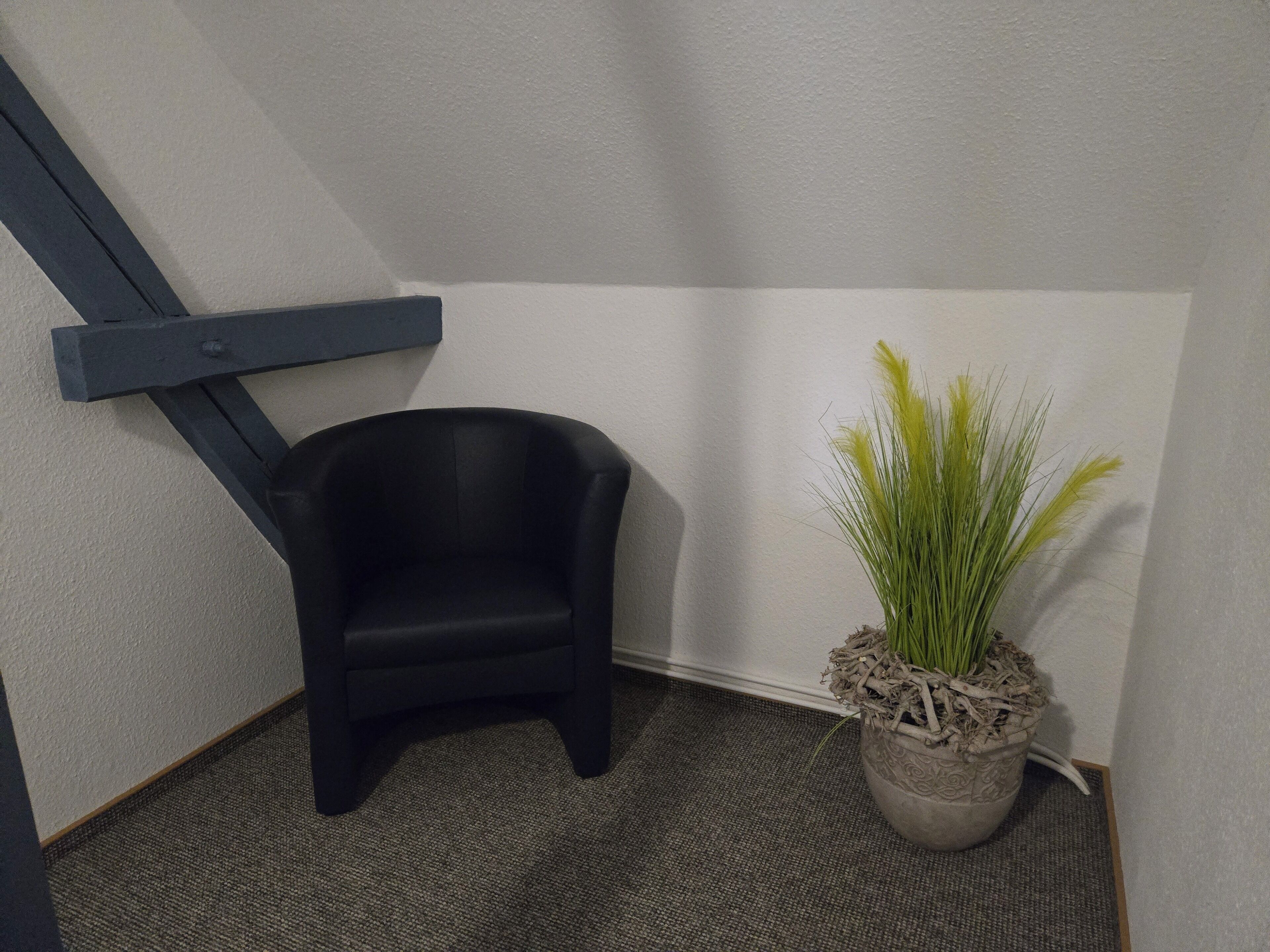 A corner of a room with a black chair, a potted plant, and a textured carpet.