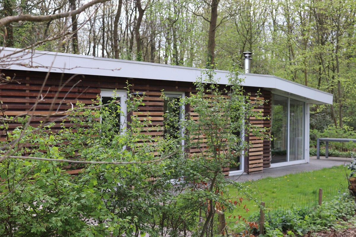 Image de profil de lâhĂŽte