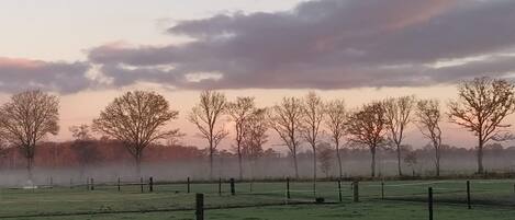 Sportveld